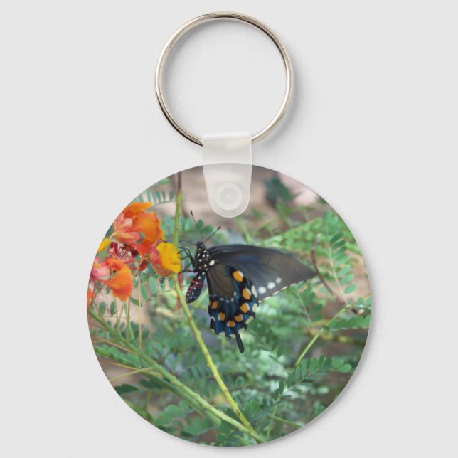 Porte-clés Porte - clé Monarque (Recto)