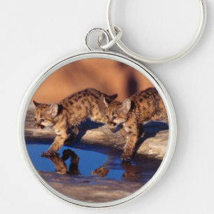Porte-clés Porte - clé-Mountain Lion Cubs Porte - clé