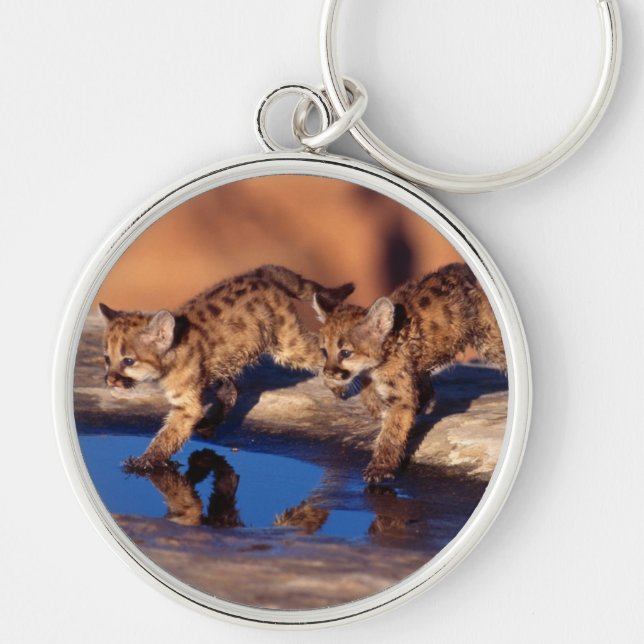 Porte-clés Porte - clé-Mountain Lion Cubs Porte - clé (Devant)