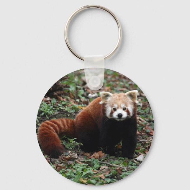 Porte-clés Porte - clé - panda rouge 2 (Recto)