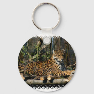 Porte-clés Porte - clé Panthera Jaguar
