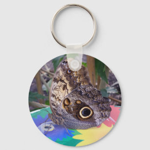 Porte-clés Porte - clé papillon