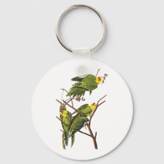 Porte-clés Porte - clé : Parakeet - par John Audubon