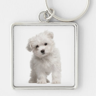Porte-clés Porte - clé Personnalisé De Chien De Chien De Chie
