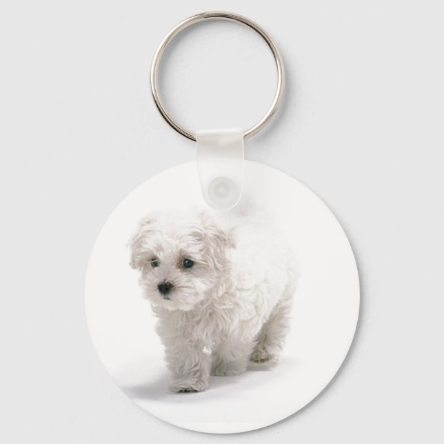 Porte-clés Porte - clé photo Bichon Frise (Recto)