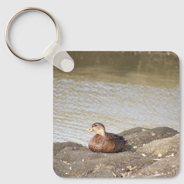 Porte-clés Porte - clé photo Mallard Duck (Recto)