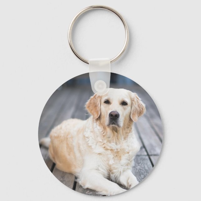 Porte-clés Porte - clé photo personnalisé pour animaux de com (Recto)