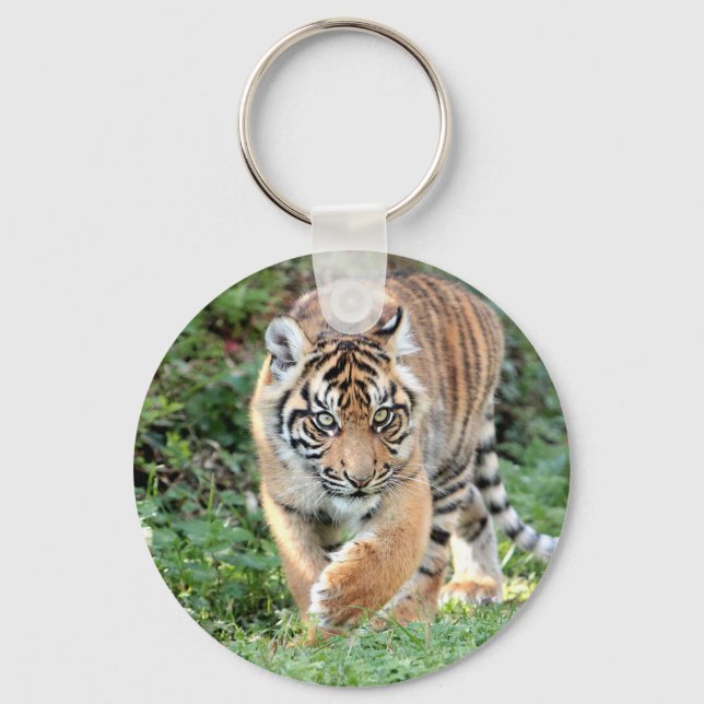 Porte-clés porte - clé Photo tiger, animaux 0190. (Recto)