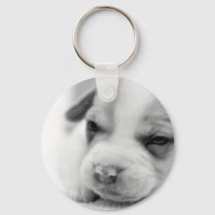 Porte-clés Porte - clé Pit Puppy