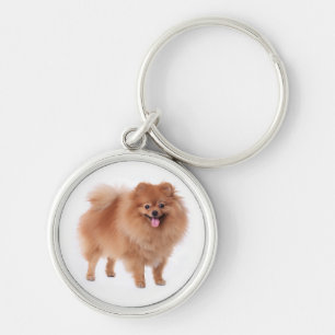 Porte-clés Porte - clé Poméranien du Chien à chiots