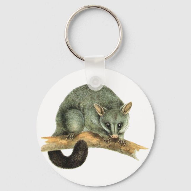 Porte-clés Porte - clé - possum (Recto)
