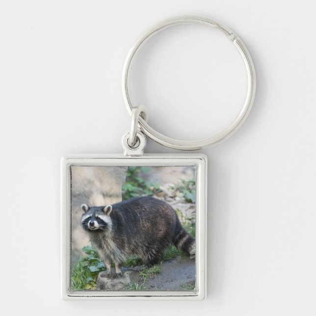 Porte-clés Porte - clé Raccoon (Devant)