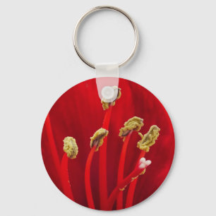 Porte-clés Porte - clé Red Amaryllis 