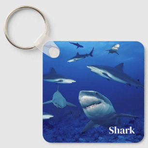 Porte-clés Porte - clé requins
