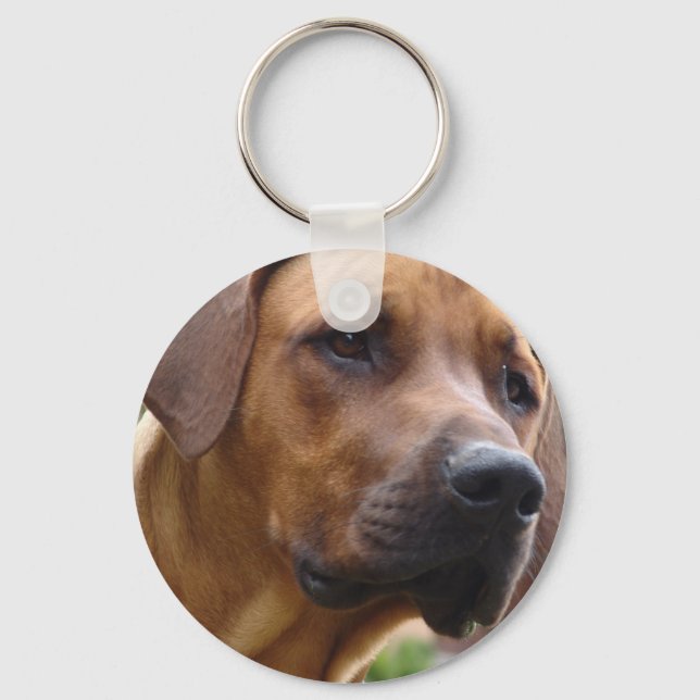 Porte-clés Porte - clé Rhodesian Ridgeback (Recto)