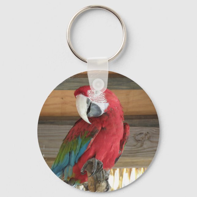 Porte-clés Porte - clé Scarlet Macaw (Recto)