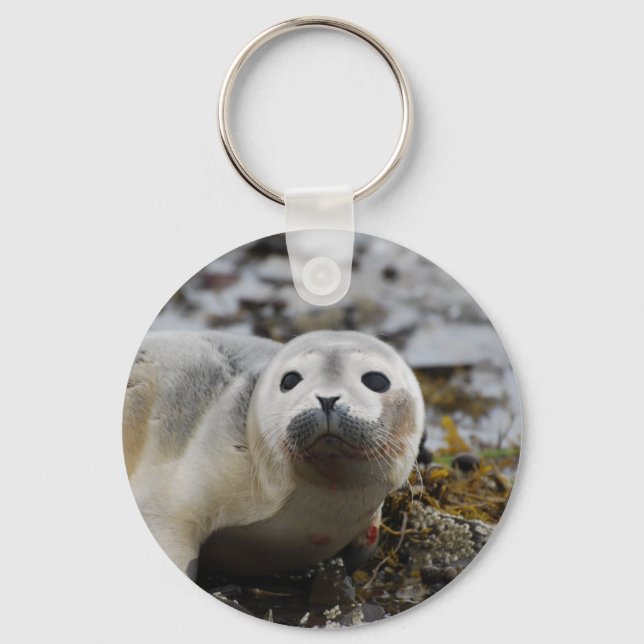 Porte-clés Porte - clé Seal Pup (Recto)