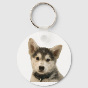 Porte-clés Porte - clé sibérien Husky
