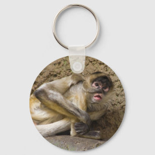 Porte-clés porte - clé singe