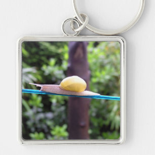 PORTE-CLÉS PORTE - CLÉ SNAIL EQUILIBRIST
