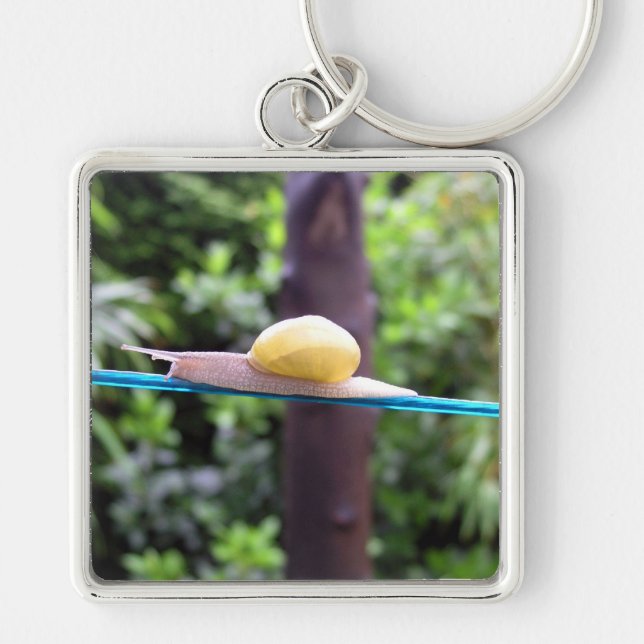 PORTE-CLÉS PORTE - CLÉ SNAIL EQUILIBRIST (Devant)