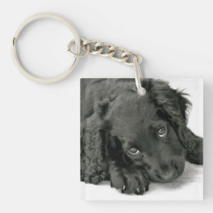 Porte-clés Porte - clé très mignon d'épagneul