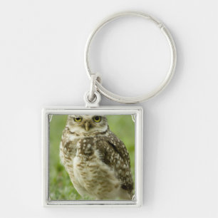 Porte-clés Porte - clé vigilant de hibou
