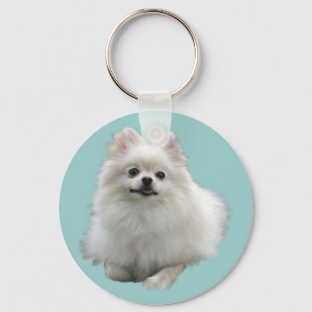 Porte-clés Porte - clés de chiens (Recto)