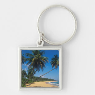 Porte-clés Porto Rico, Isla Verde, palmiers.