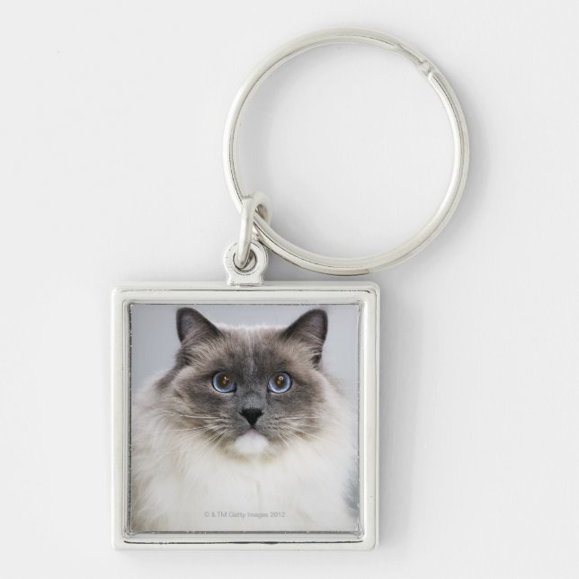 Porte-clés Portrait de chat de Ragdoll (Devant)