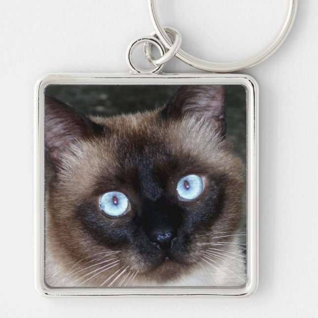 Porte-clés Portrait de chat siamois (Devant)