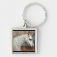 Portrait de Cheval Andalou Gris Dappé