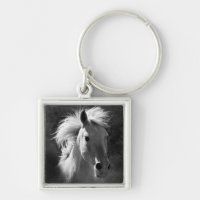 Portrait de cheval V