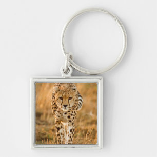 Porte-clés Portrait de guépard (Acinonyx Jubatus), Maasai