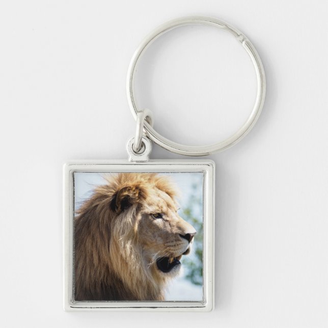 Porte-clés Portrait de lion vu du profil (Devant)