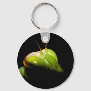Porte-clés Portrait de mante en prière