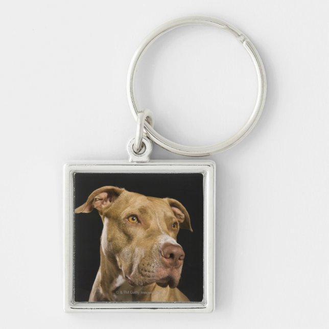 Porte-clés Portrait de pitbull rouge de nez avec le noir (Devant)