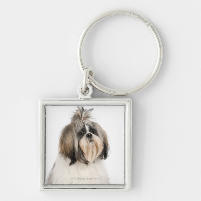 Porte-clés Portrait de studio de Shih Tzu (Devant)