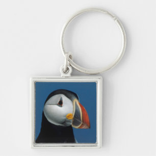 Porte-clés Portrait d'un Macareux Atlantique