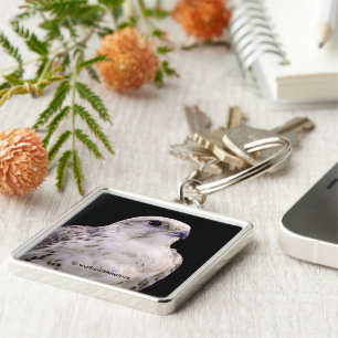 Porte-clés Portrait signé d'un faucon de Saker curieux