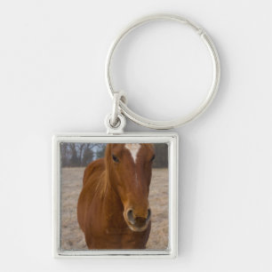 Porte-clés Pose de cheval