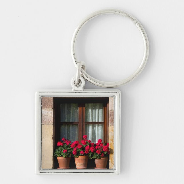 Porte-clés Pots de fleurs de fenêtres dans le village (Devant)
