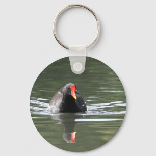 Porte-clés Poule d'eau et réflexion
