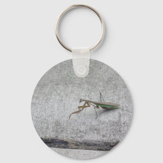 Porte-clés Praying mantis Key chain