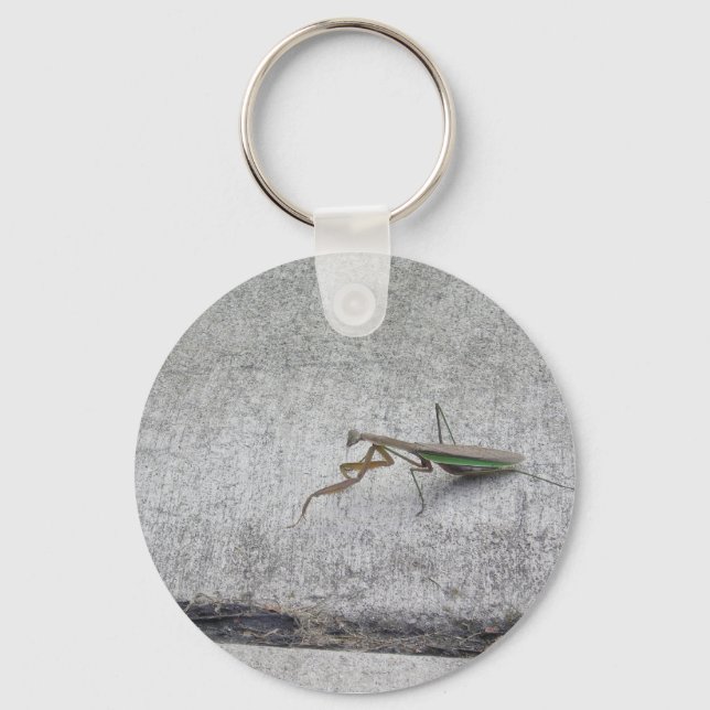 Porte-clés Praying mantis Key chain (Recto)