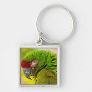 Porte-clés Profil d'ara à Santa Barbara Zoo