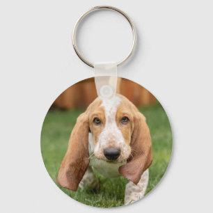 Porte-clés Promenade de chiot Basset Hound