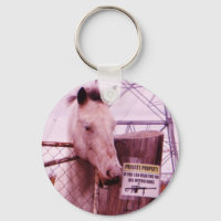 Propriété privée lavender Horse
