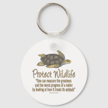 Protéger les tortues de mer