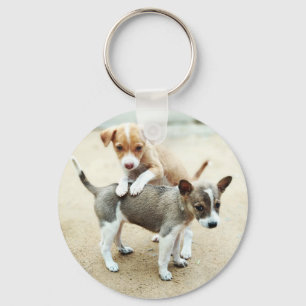 Porte-clés Puppies mignonnes jouer sur la plage